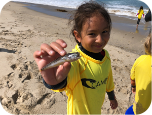 A young kid smiling holding a tiny fish at camp surf kids summer camp in manhattan beach, ca